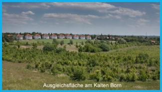 Am kalten Born