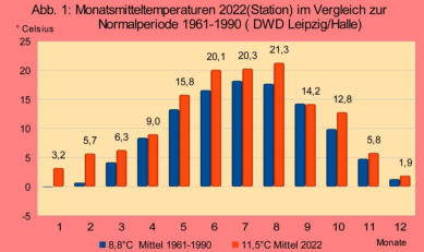 Vergleich Temperatur der Station mit langjährigem Mittel