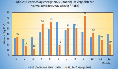 Vgl. Niederschlag 2024 mit Periode 1961-1990